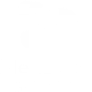 Logo Meaztegi Golf | Color