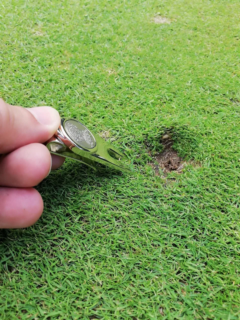 Golf y Naturaleza, Meaztegi Golf en Bizkaia