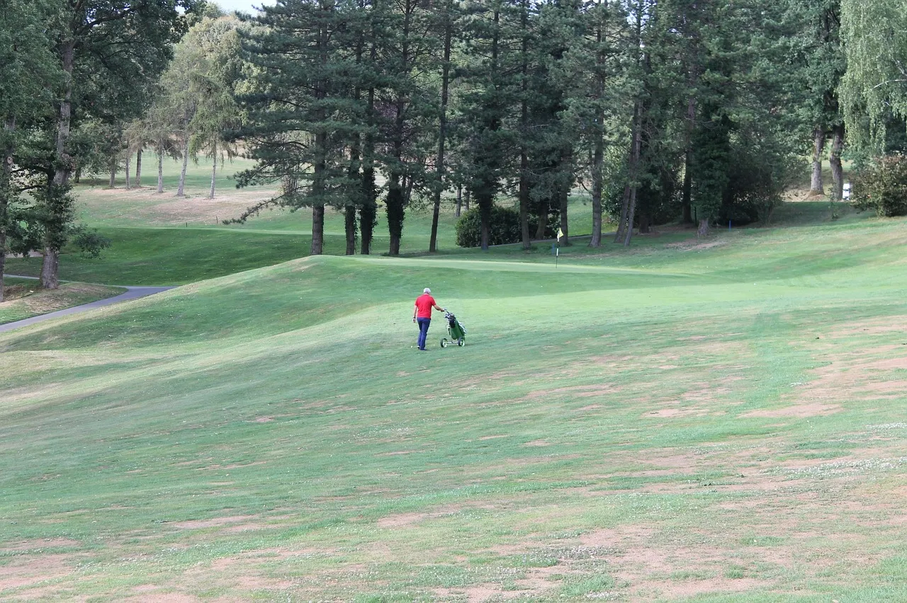 Golf y Naturaleza, Meaztegi Golf en Bizkaia