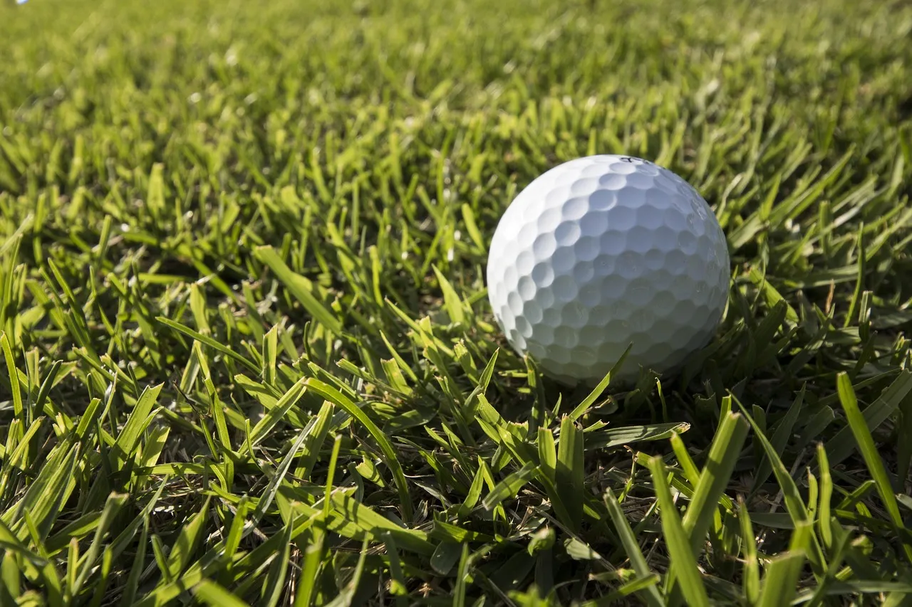 Pro-Am IV Bizkaia PGAe Open 2025, elkartasuna Meaztegi Golfean