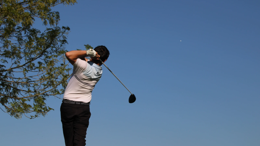 Escapada golf en Bizkaia, La Arboleda