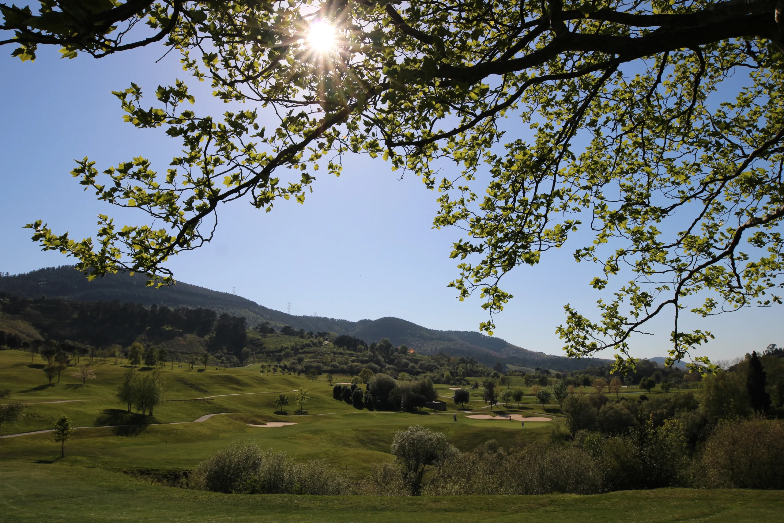 Golf Todo el Año, Meaztegi y su perfección en cualquier estación