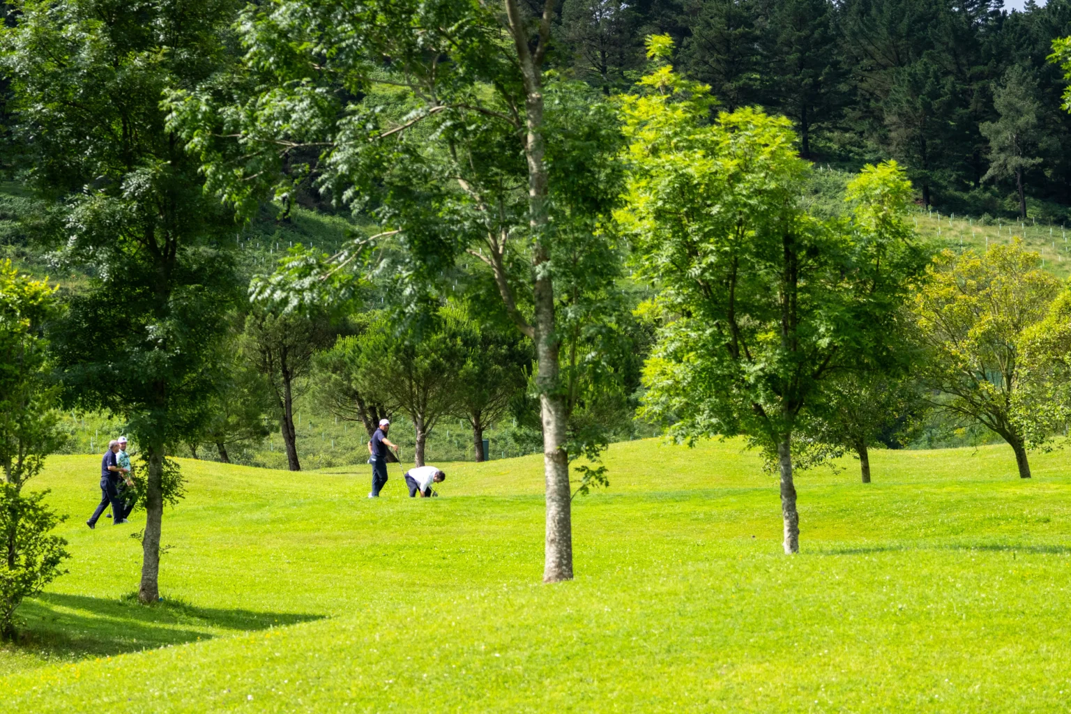 Golf en Bizkaia, jugar en Meaztegi golf