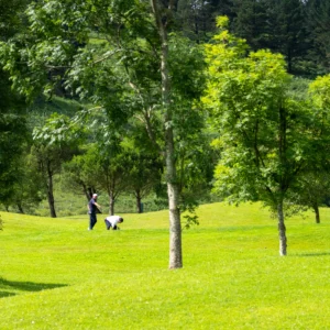 Golf en Bizkaia, jugar en Meaztegi golf