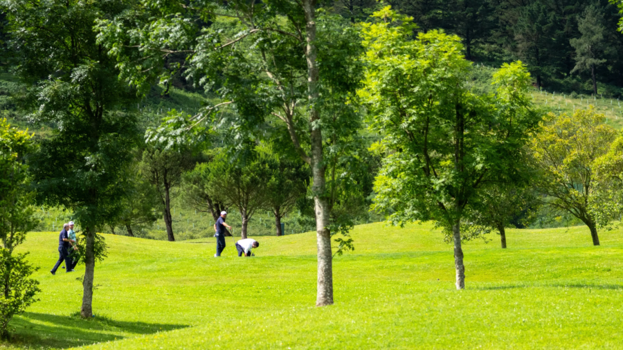 Golf en Bizkaia, jugar en Meaztegi golf