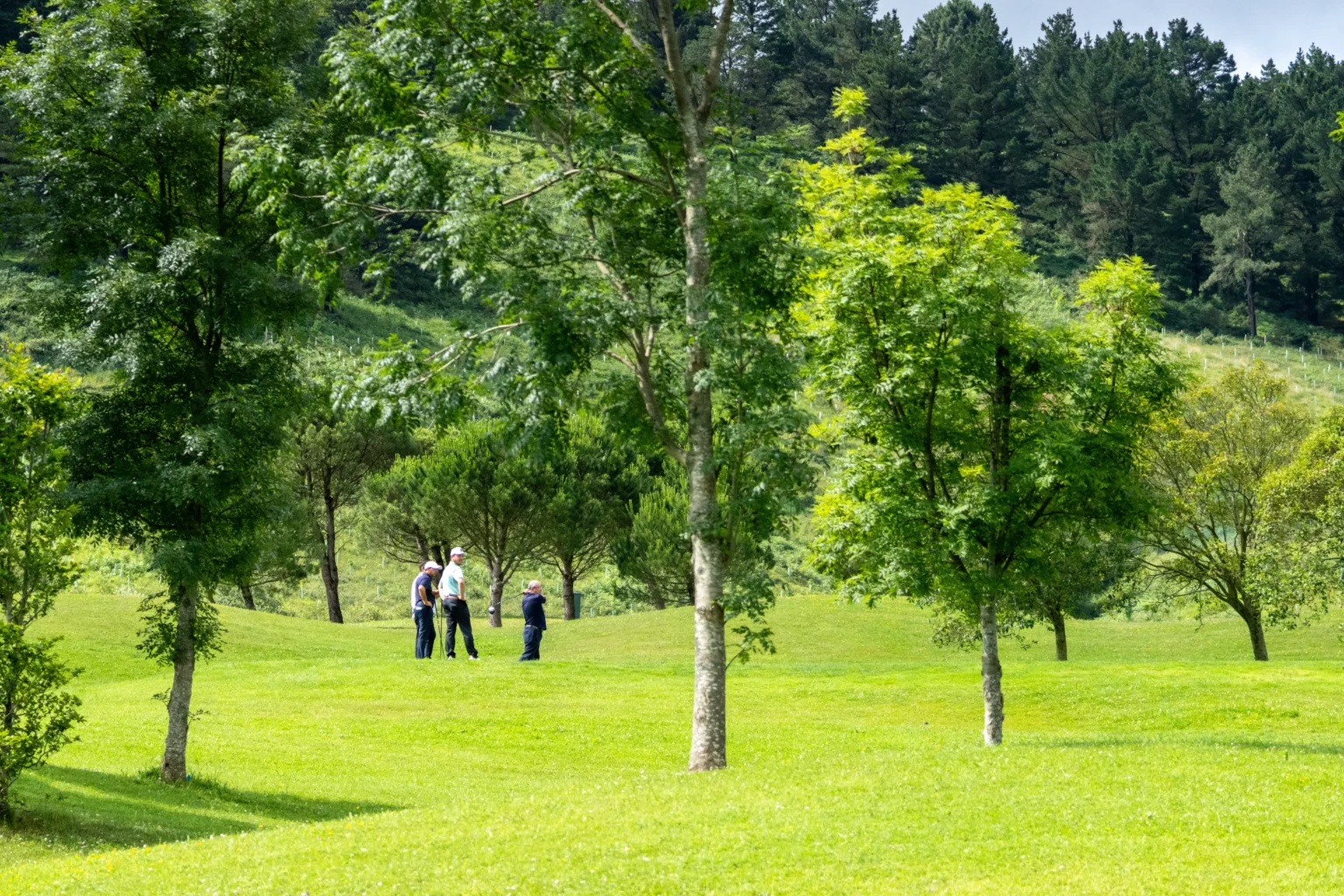 Pitch & Putt y prácticas, aprovecha las instalaciones de Meaztegi