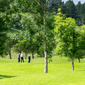 Pitch & Putt y prácticas, aprovecha las instalaciones de Meaztegi