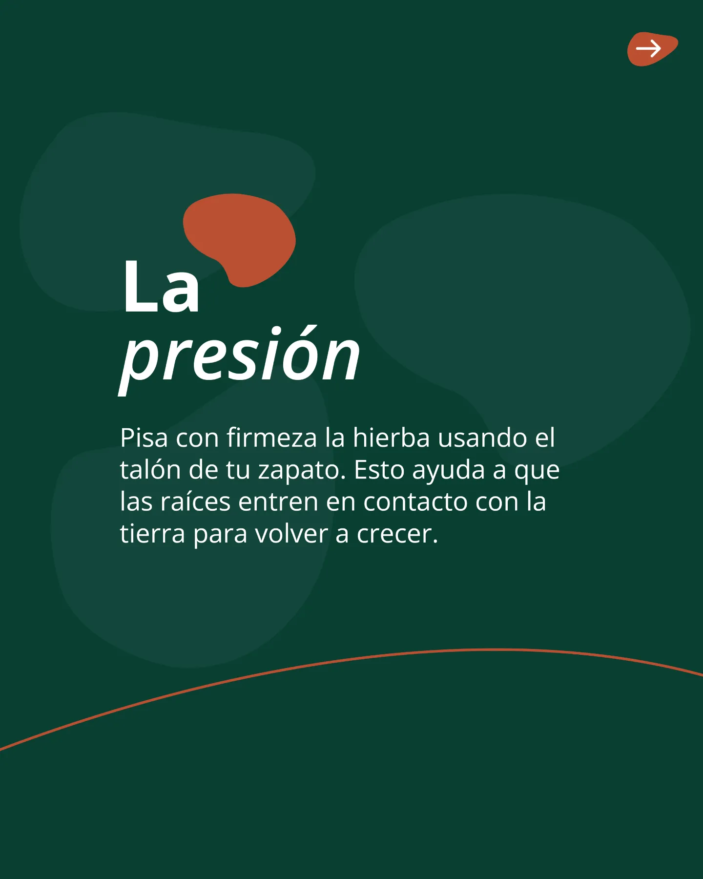 Presionar con el talón al reparar la chuleta para que las raíces contacten con la tierra
